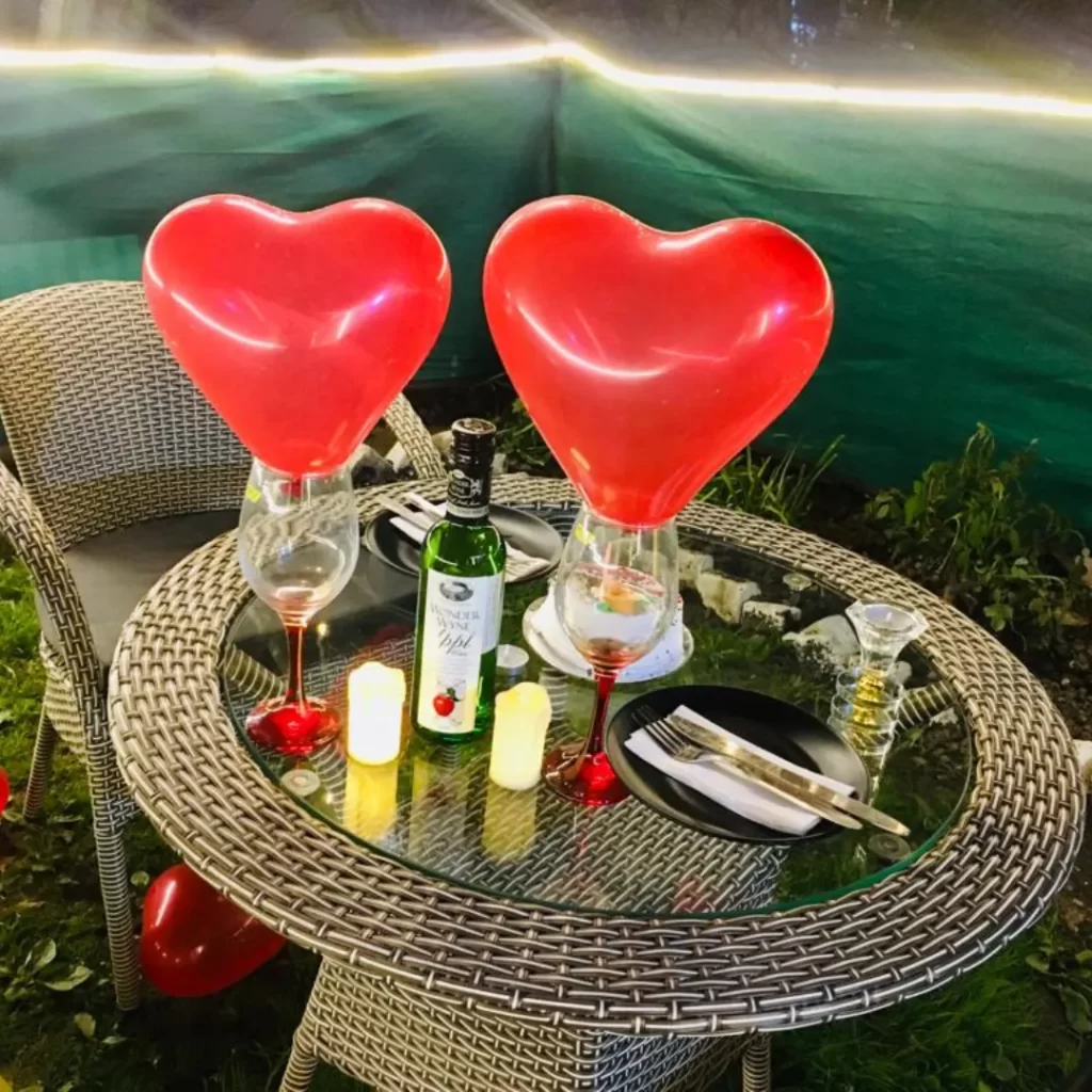 Royal INN Manali