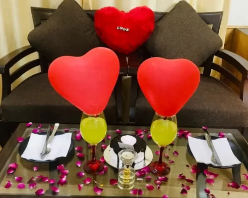 Royal INN Manali