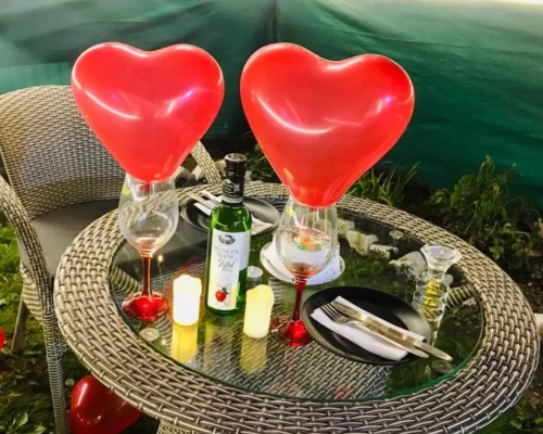 Royal INN Manali