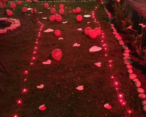 Royal INN Manali
