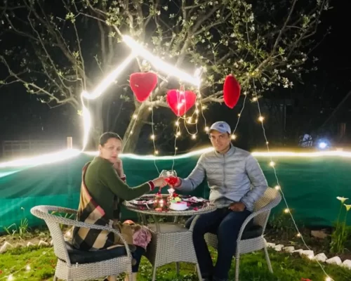 Royal INN Manali